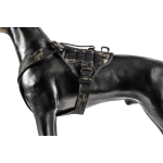 Working Dog Harness GENIII Multicam Black